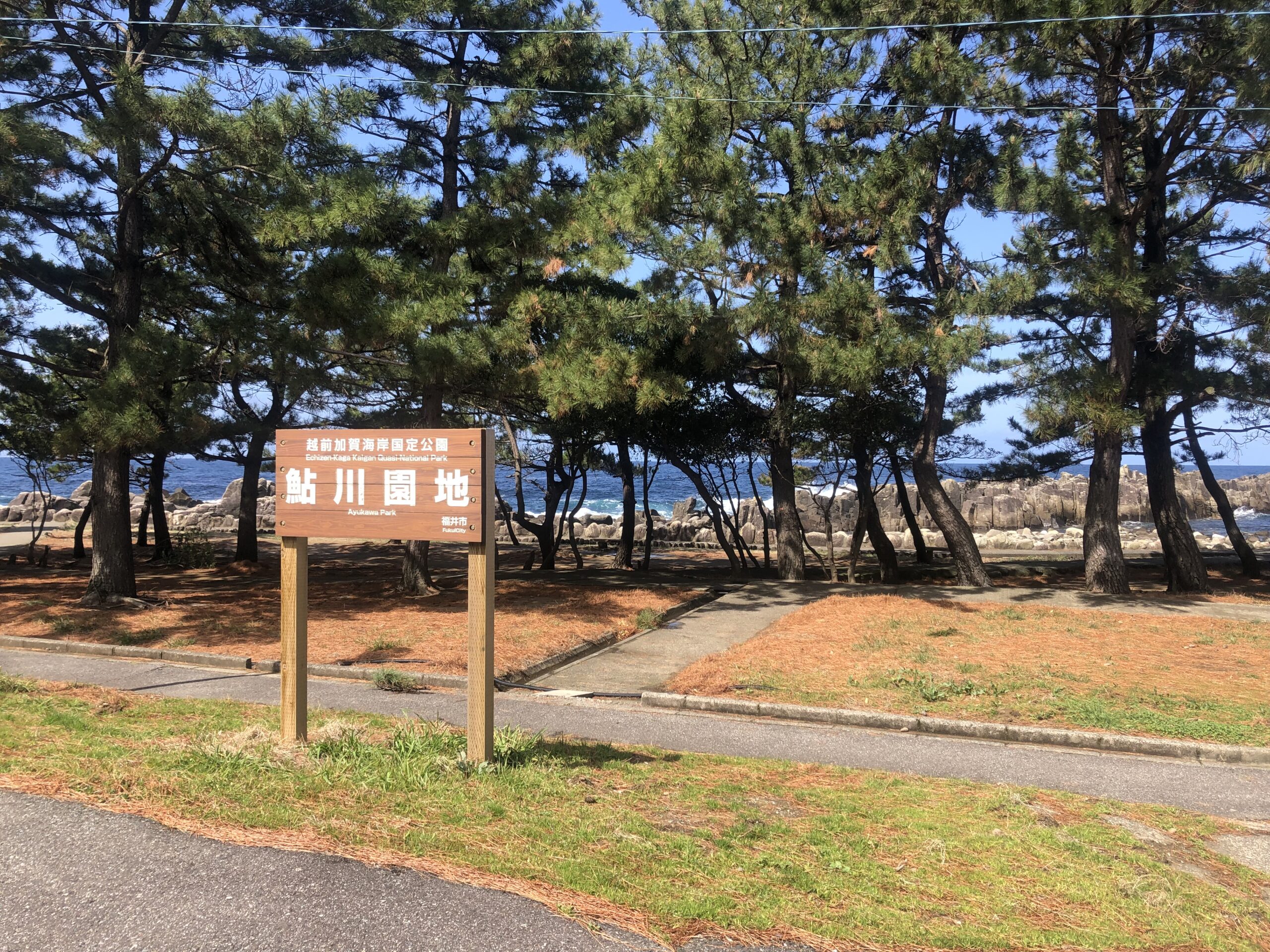 鮎川キャンプ場